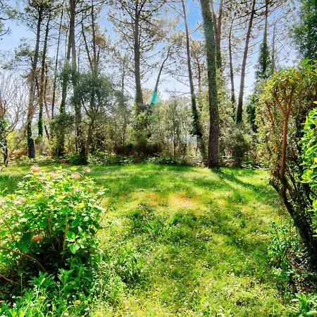 Appartement Le Domaine Du Golf De Pinsolle - Maeva - 2 Pièces 5 Person 414